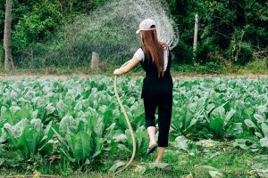 Must-Have Gear for Your Spring Garden