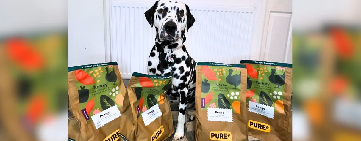 Pure Pet Food vs Fresh-Cooked Dog Food, Which Works Best?